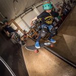 Team Skateboard MIlano Board Riding